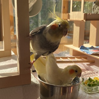 Telegram profile photo for Гека и Юра