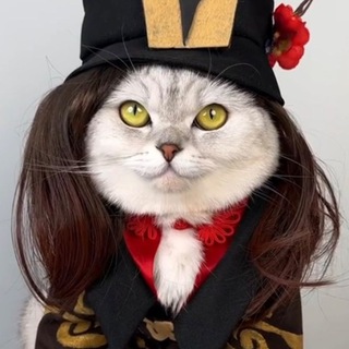 Telegram profile photo for Косплеи от капибары