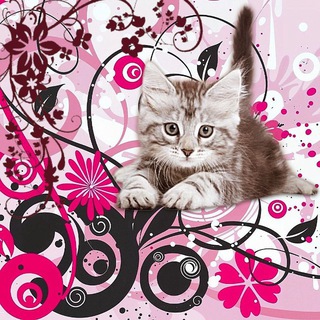 Telegram profile photo for Торч и её шиза