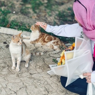 Telegram profile photo for پای البالو🎐.