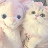 Telegram profile photo for ❥.. (현진) “aeong..!”