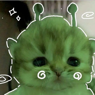 Telegram profile photo for โห๐ท๐ฎ๐ฒ๐๐ถ๐ถโ๐ ๐ฝ๐ฟ๐ถ๐ฐ๐ฒ๐น๐ถ๐๐๐