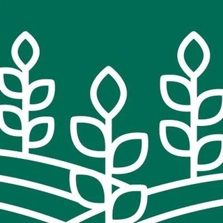 Telegram profile photo for Департамент АПК КО