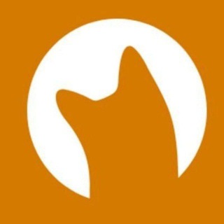 Telegram profile photo for Anon