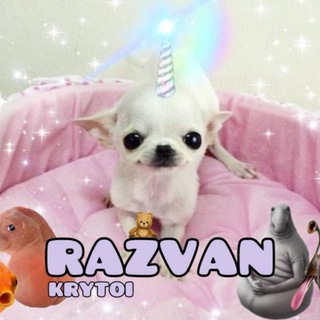 Telegram profile photo for Portal