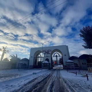 Telegram profile photo for Mutah UNI 📚 ﮼تصوير