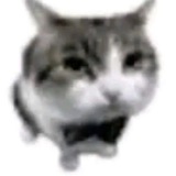Telegram profile photo for разъезд чушпаны