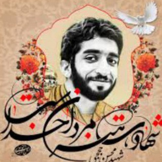 Telegram profile photo for ستاد شاهد و ایثارگر دانشگاه آزاد اسلامی مشهد