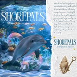 Telegram profile photo for Shorepals proofneeds