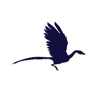 Telegram profile photo for Archax