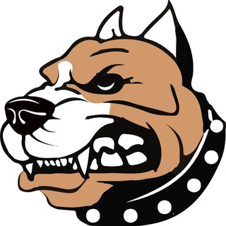 Telegram profile photo for Rincón Guapo