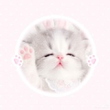 Telegram profile photo for catto. 𖹭.ᐟ