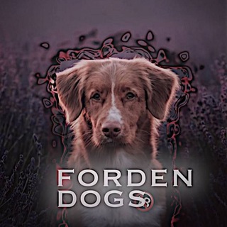 Telegram profile photo for Forden dogs