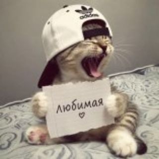 Telegram profile photo for ᥈юⳝυⲙᥲя ఇ
