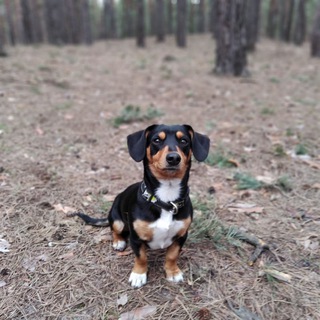 Telegram profile photo for Конкурсы от Моти❤️💋