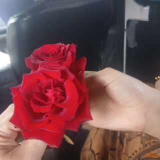 Telegram profile photo for Хайот гузал чунки унда мен борман