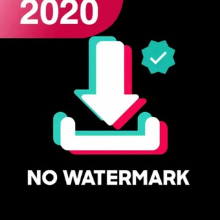 Telegram group profile photo for TikTok Video Downloader