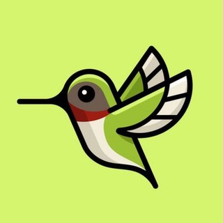 Telegram profile photo for BIRD MEDIA