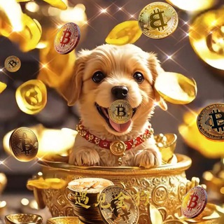 Telegram profile photo for 遇见金狗 |Meet with Golden Dog