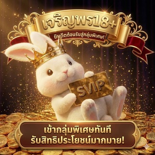 Telegram profile photo for VIP เจริญพร18+