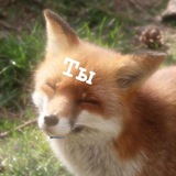 Telegram profile photo for ты
