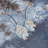 Telegram profile photo for Creatures of Sonaria Confession+Daily!