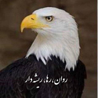 Telegram profile photo for Dr.simin farshadi