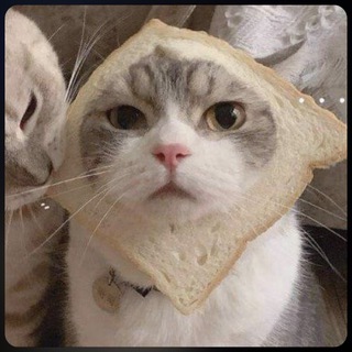 Telegram profile photo for Min Cô Đơn