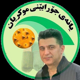 Telegram profile photo for 🔅جۆرابێنی موکــــــریان🔅