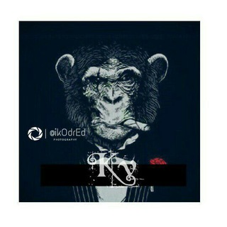 Telegram profile photo for Kv