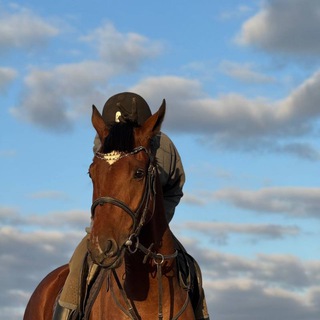 Telegram profile photo for Домовой Кузя 🥕꙰😈꙰