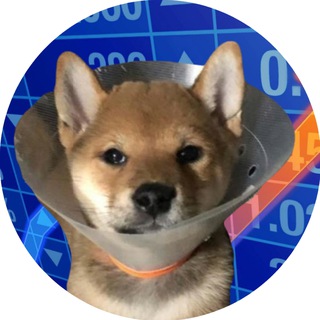 Telegram profile photo for gogowifcone $GOGO