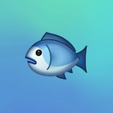 Telegram profile photo for Y