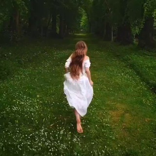 Telegram profile photo for Nature video clips🌹🍁🍂