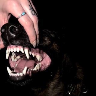 Telegram profile photo for psychopathy
