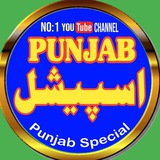 Telegram profile photo for Punjab Special