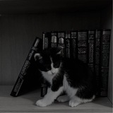 Telegram profile photo for Напоминание