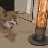 Telegram profile photo for Мемный Сундук