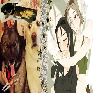 Telegram profile photo for •וBelka Family•ו •|РЕСТ|•