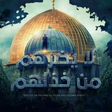 Telegram profile photo for الذوق الرفييييع
