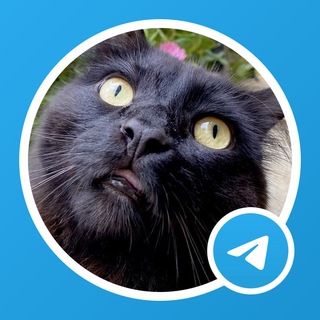 Telegram group profile photo for MERLIN