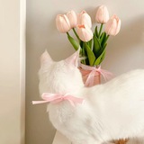 Telegram profile photo for ░ೄྀsᴜɴɴʏ sʜᴏᴘ🌷
