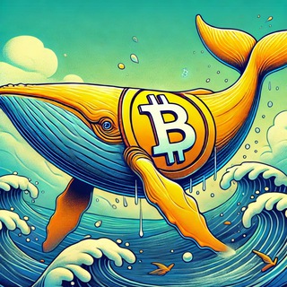 Telegram profile photo for توصيات شبكة سولانا