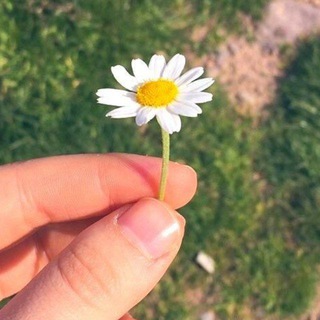 Telegram profile photo for دکلمه با کتایون اسماعیلی