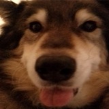 Telegram profile photo for канавка