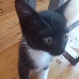 Telegram profile photo for ЗАБРОШКАПАА