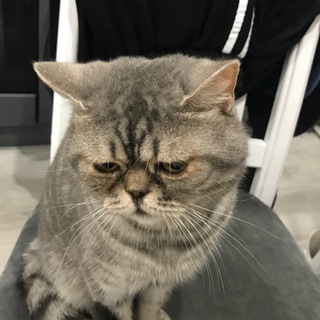 Telegram profile photo for негде писать