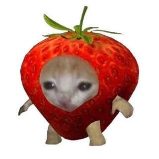 Telegram profile photo for Малыш Channel