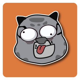 Telegram profile photo for Kungfu Cat