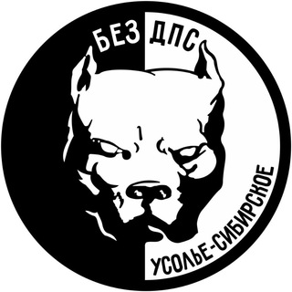 Telegram profile photo for ⚜️БЕЗ ДПС⚜️ Усолье-Сибирское и район